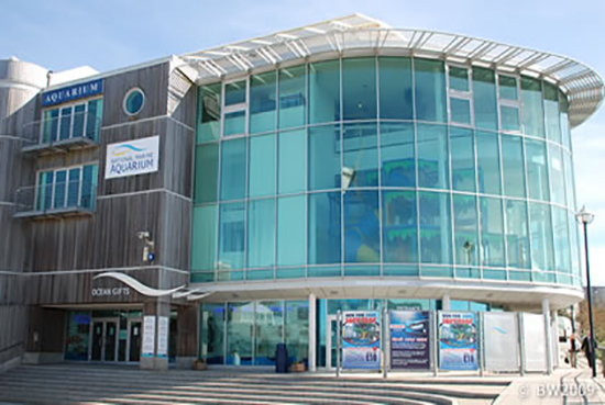 national%20aquarium